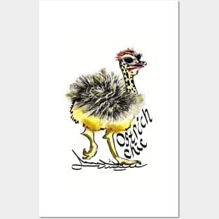 Ostrich Chick is chic, &#39;struthio! Posters and Art